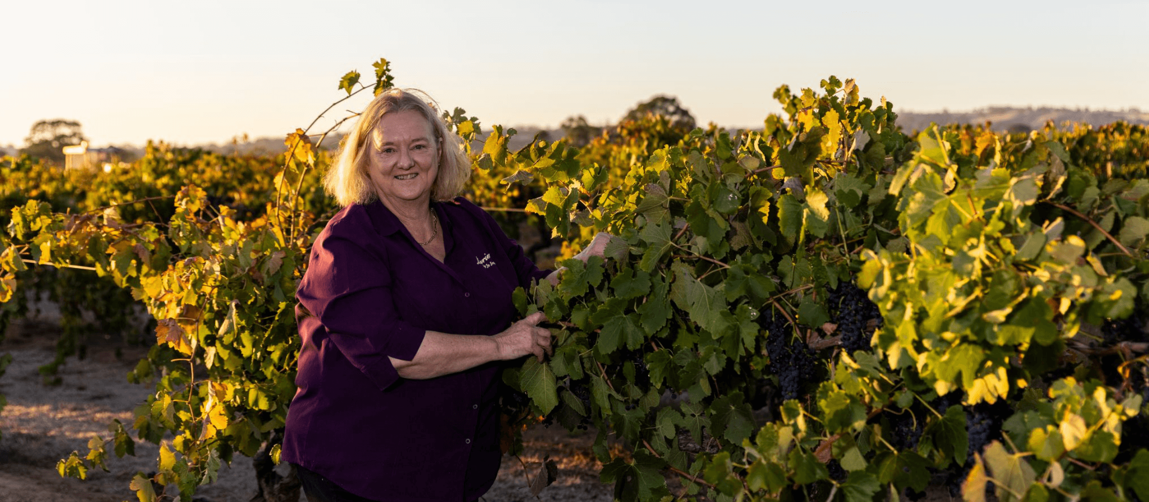 Photo for: Joanne Irvine, Owner and Wine Maker at Levrier by Jo Irvine