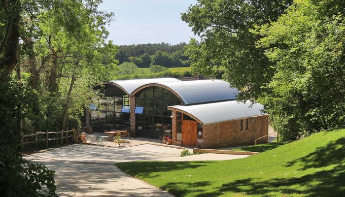 Sedlescombe Organic Vineyard