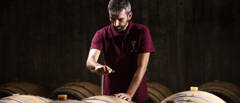 Duarte de Deus- Winemaker at Torre de Palma