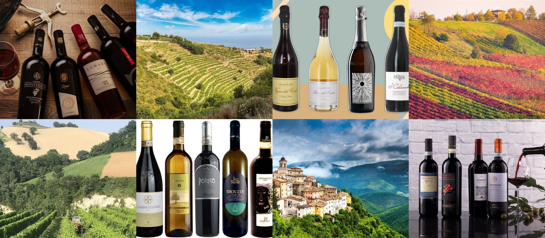 Photo for: Four Underrated Italian Wine Regions