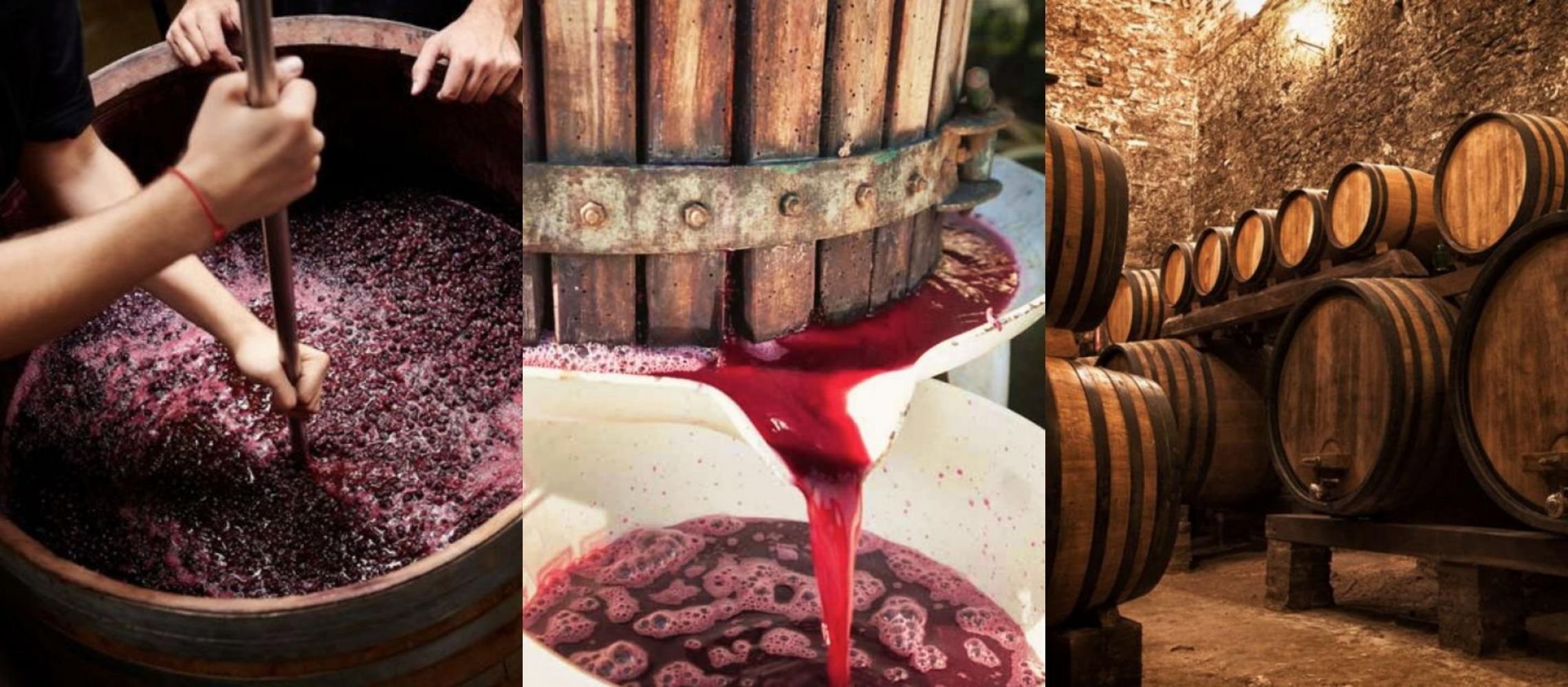 Winemaking