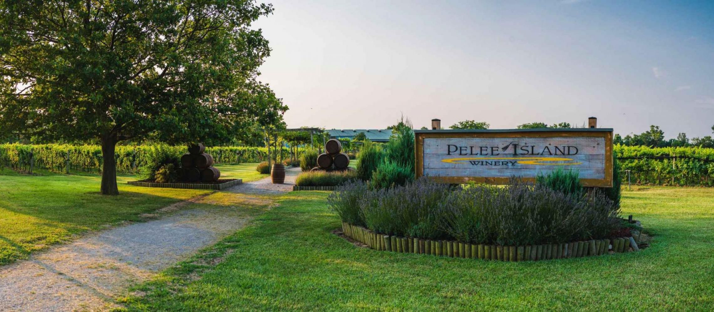 Photo for: From Island Roots to Global Reach: The Pelee Island Winery Story