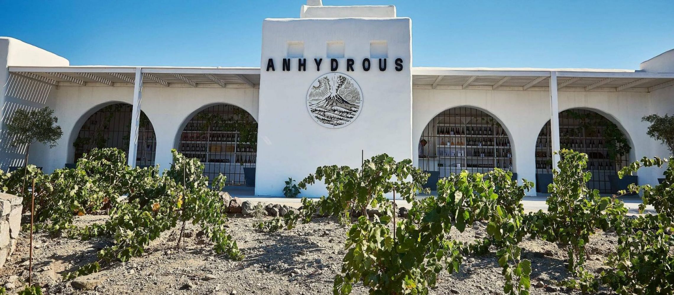 Photo for: Here’s how Anhydrous Winery is Capturing the Essence of Santorini’s Terroir