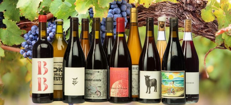 Photo for: The Essence of Natural Wines