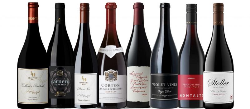 Photo for: Eight Top Pinot Noirs for Enhancing Wine Program Revenue