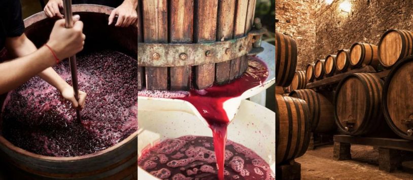Photo for: The Rise of Wild Ferments: Embracing Natural Yeast in Winemaking