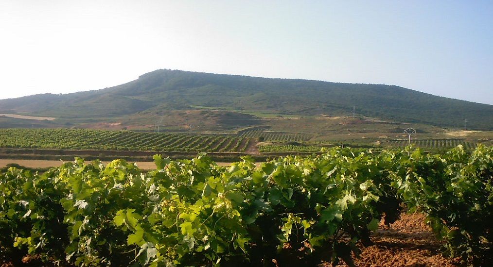 La Rioja Wine Regions Argentina