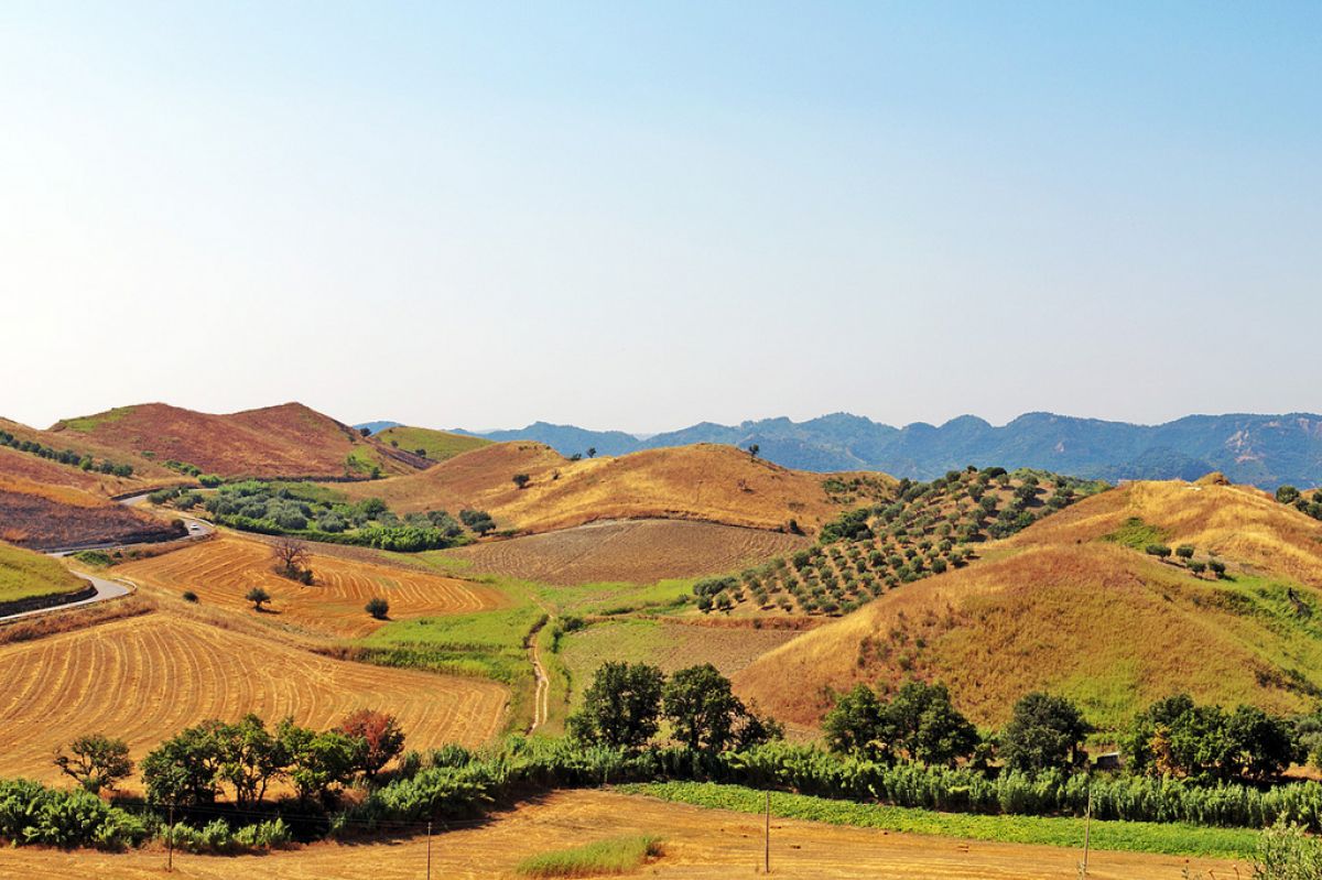 Calabria Wine Regions Italy