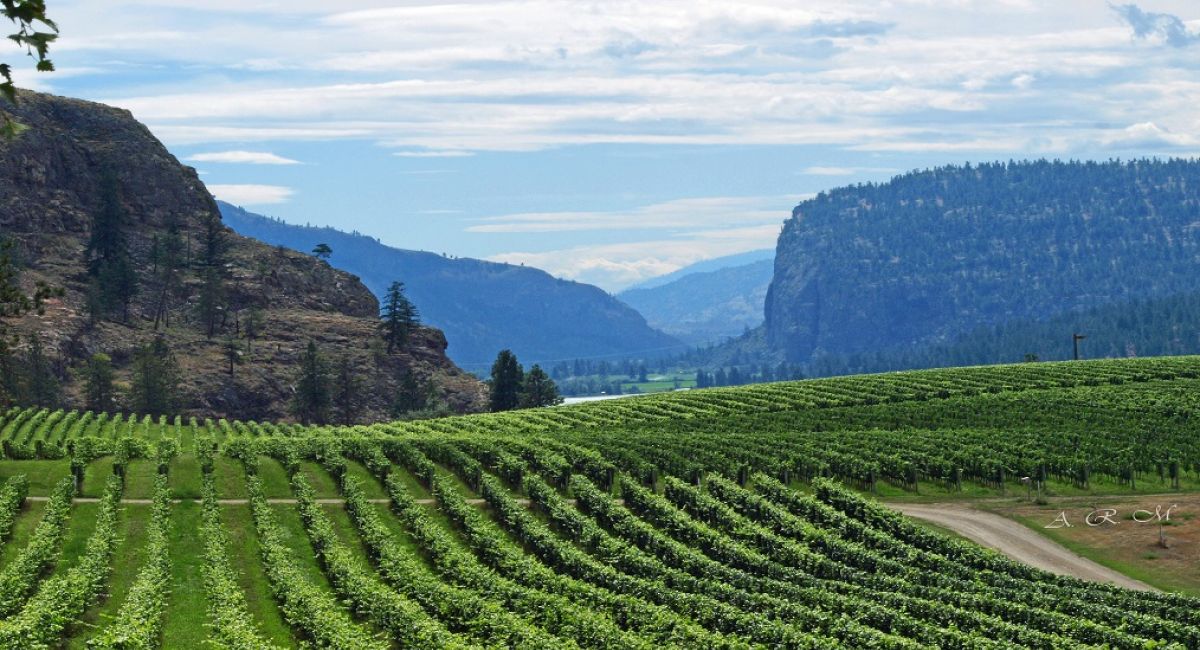 Columbia Valley | Wine Regions | United States