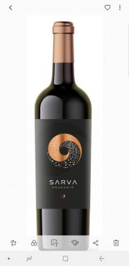 Logo for: Sarva