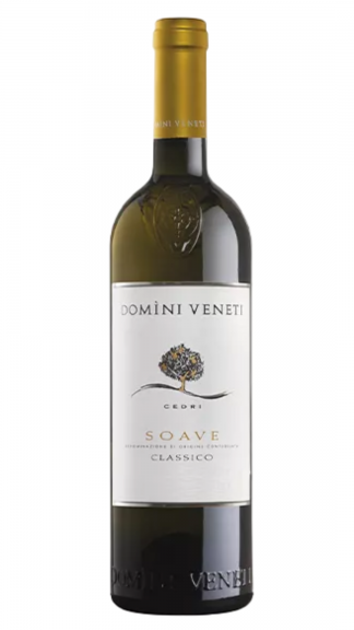 Photo for: Domìni Veneti - Soave DOC Classico