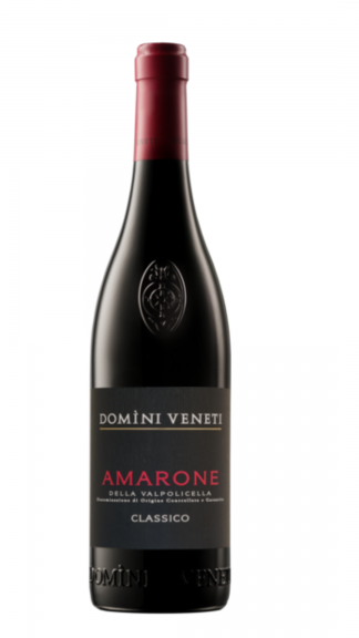 Photo for: Domìni Veneti - Amarone della Valpolicella DOCG Classico 