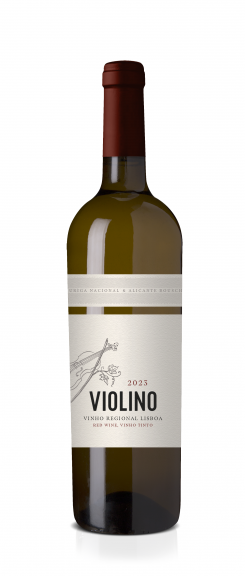 Photo for: Violino 