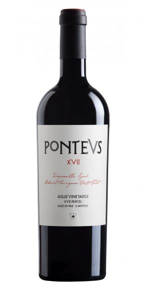 Photo for: PONTEVS
