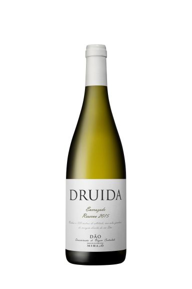 Photo for: Druida